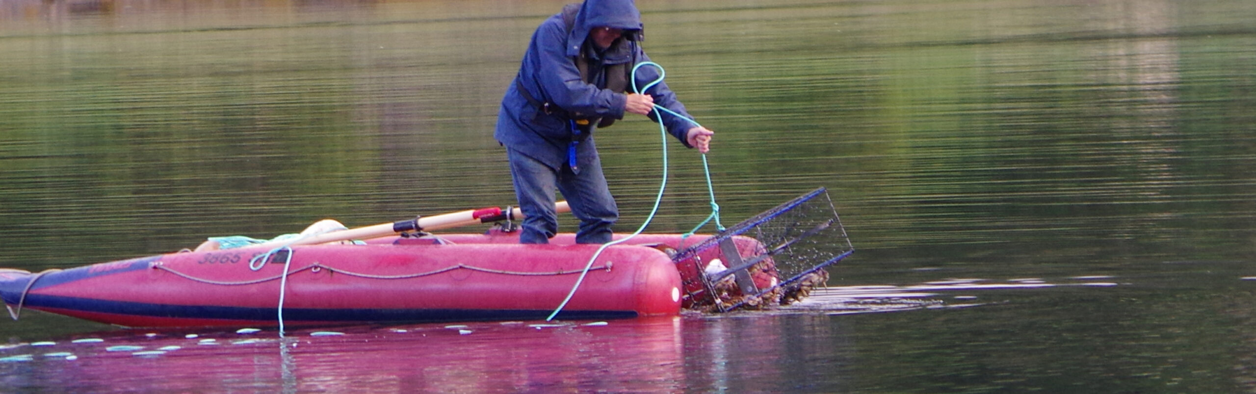 After the bait bucket... Sailing Mahdee